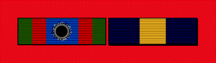 Example of 2 medals
